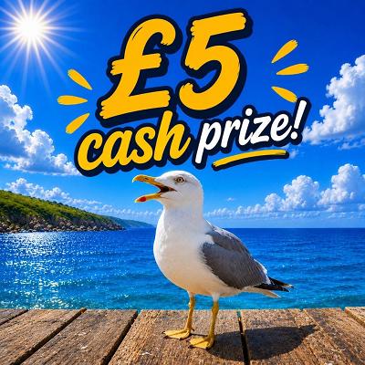 £5 CASH