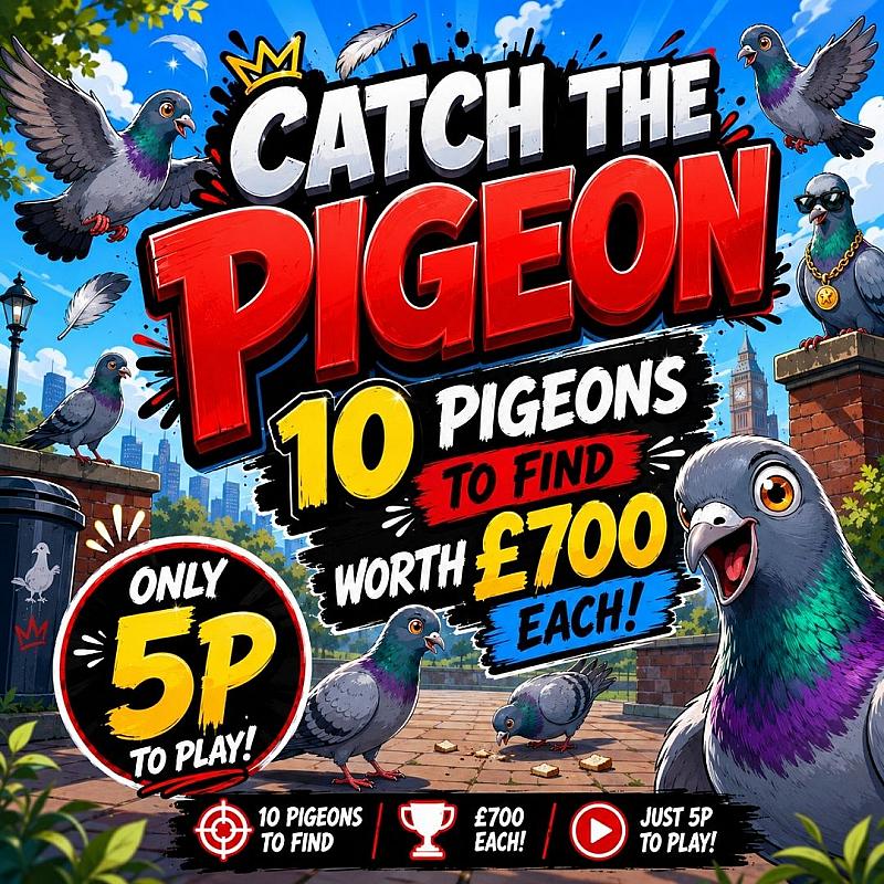 CATCH THE PIGEON DRAW!
