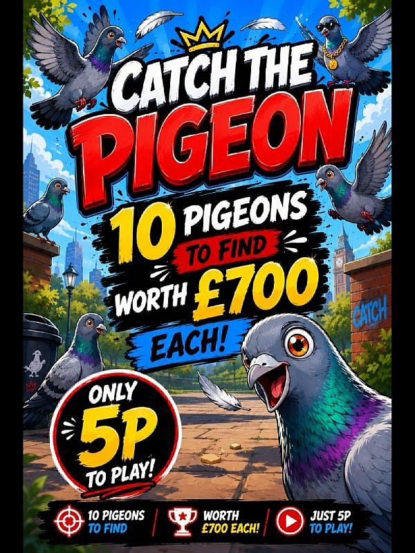 CATCH THE PIGEON DRAW!!