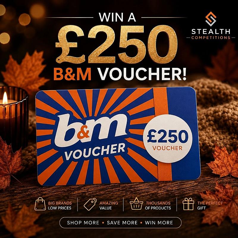 £250 B&M VOUCHER FOR 20P