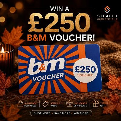 £250 B&M VOUCHER FOR 20P