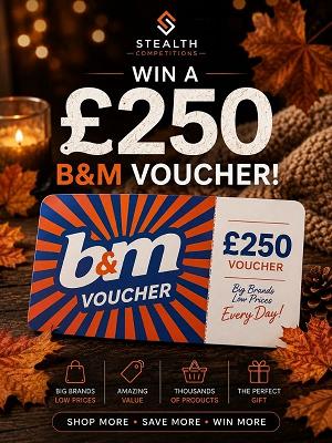 £250 B&M VOUCHER FOR 20P
