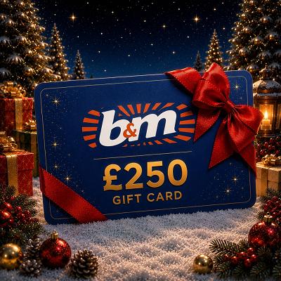 🎅🏼 £250 B&M VOUCHER 🎅🏼